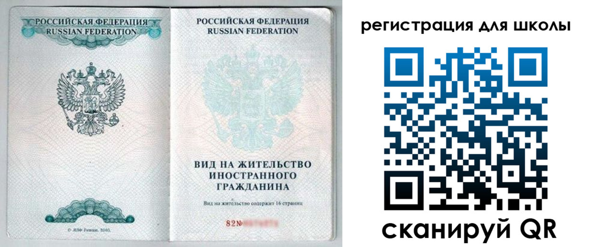 прописка гарантия в Зее